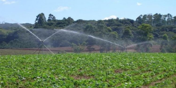 Irrigação Automatizada Irrigação Automatizada
