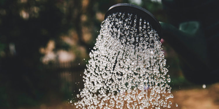 cagepa agua